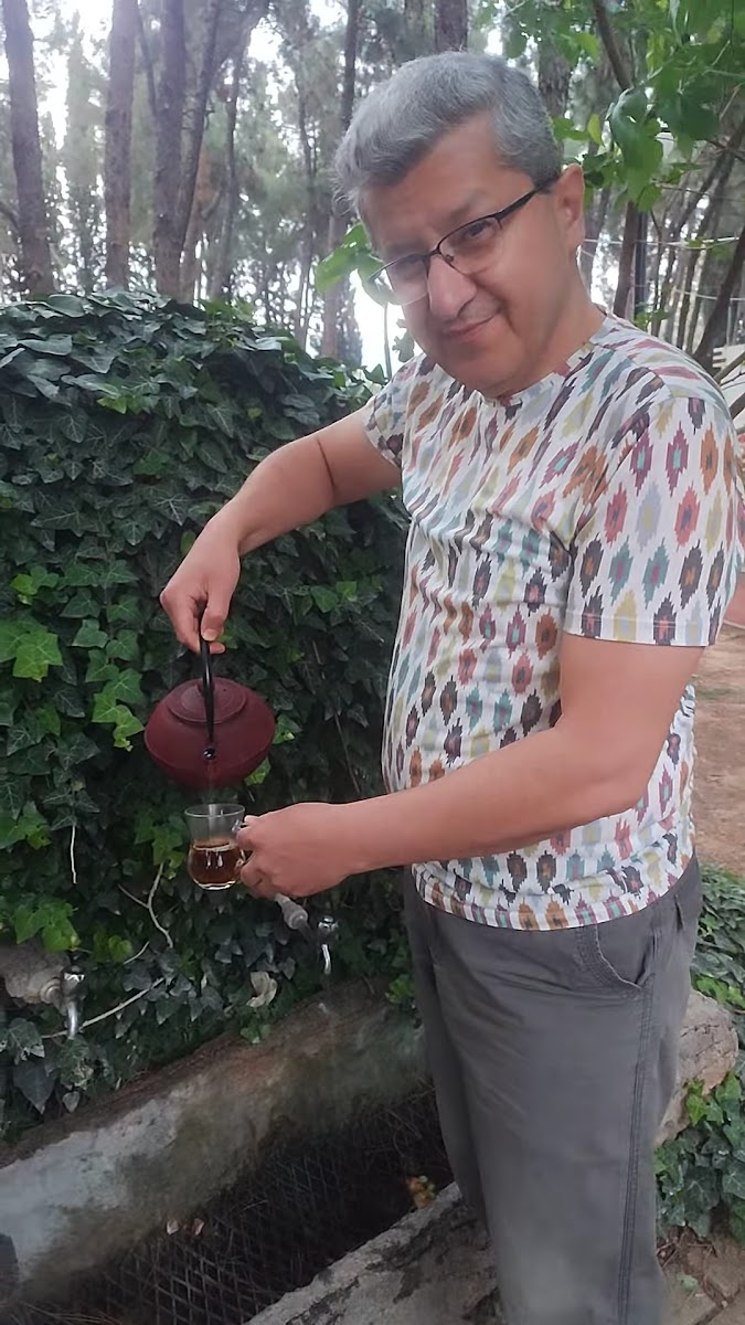 17 Nisan Köy Enstitüleri Ormanı — fotoğraf 3