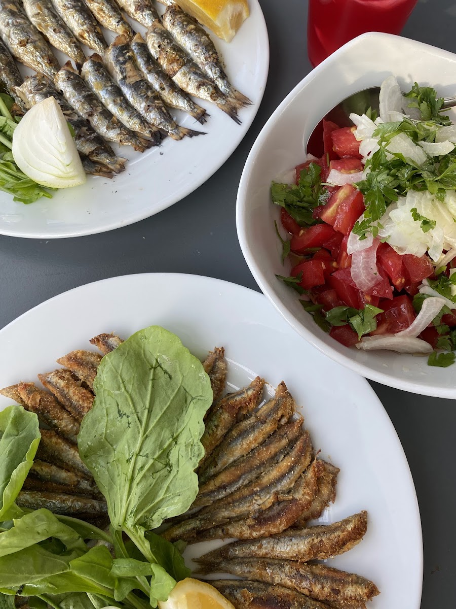 1986 Balıkevi — fotoğraf 5