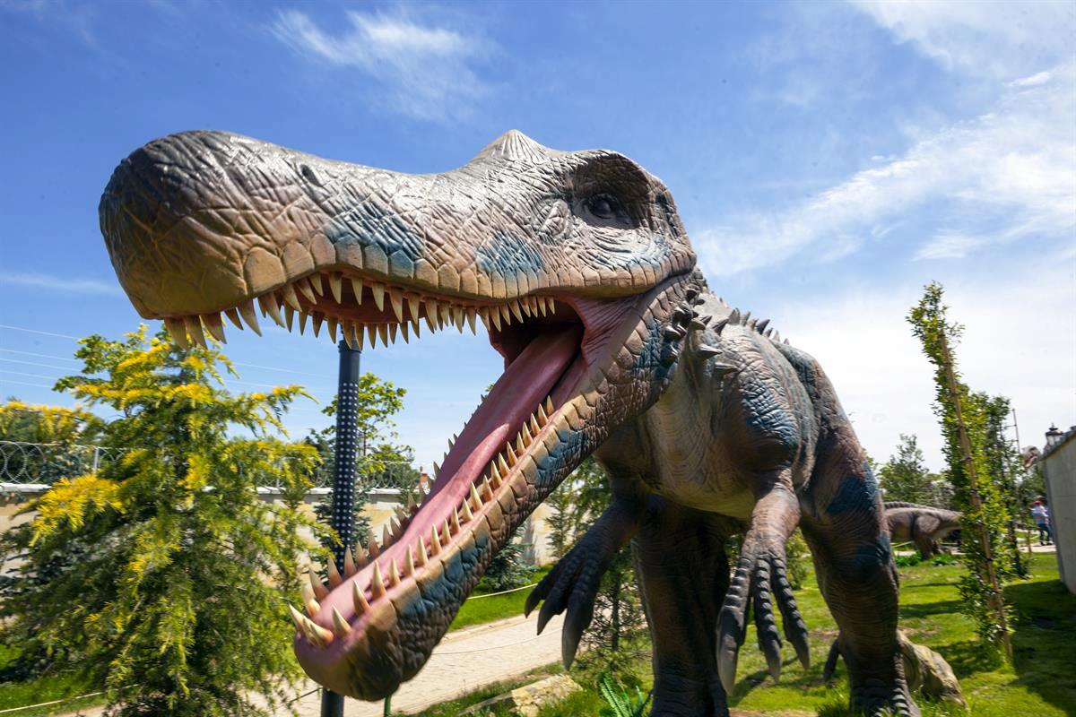 80 Günde Devr-i Alem Parkı - Meram Belediyesi — fotoğraf 4