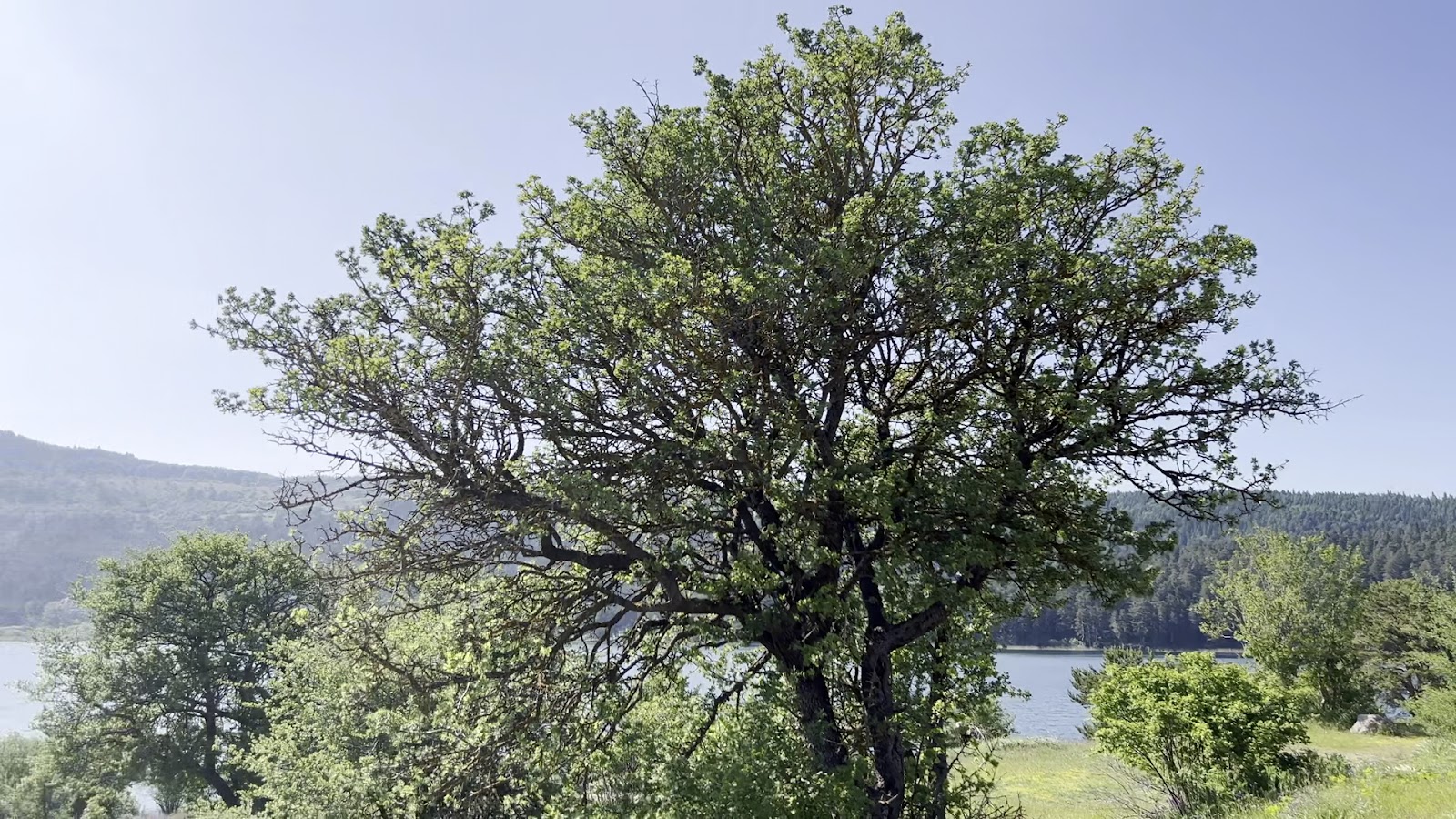 Abant Çadırlık Kamp Alanı — fotoğraf 3