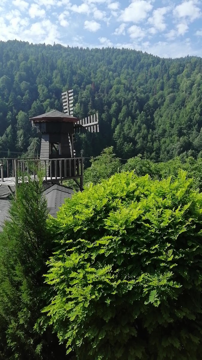 Abant Manzara Evleri — fotoğraf 7