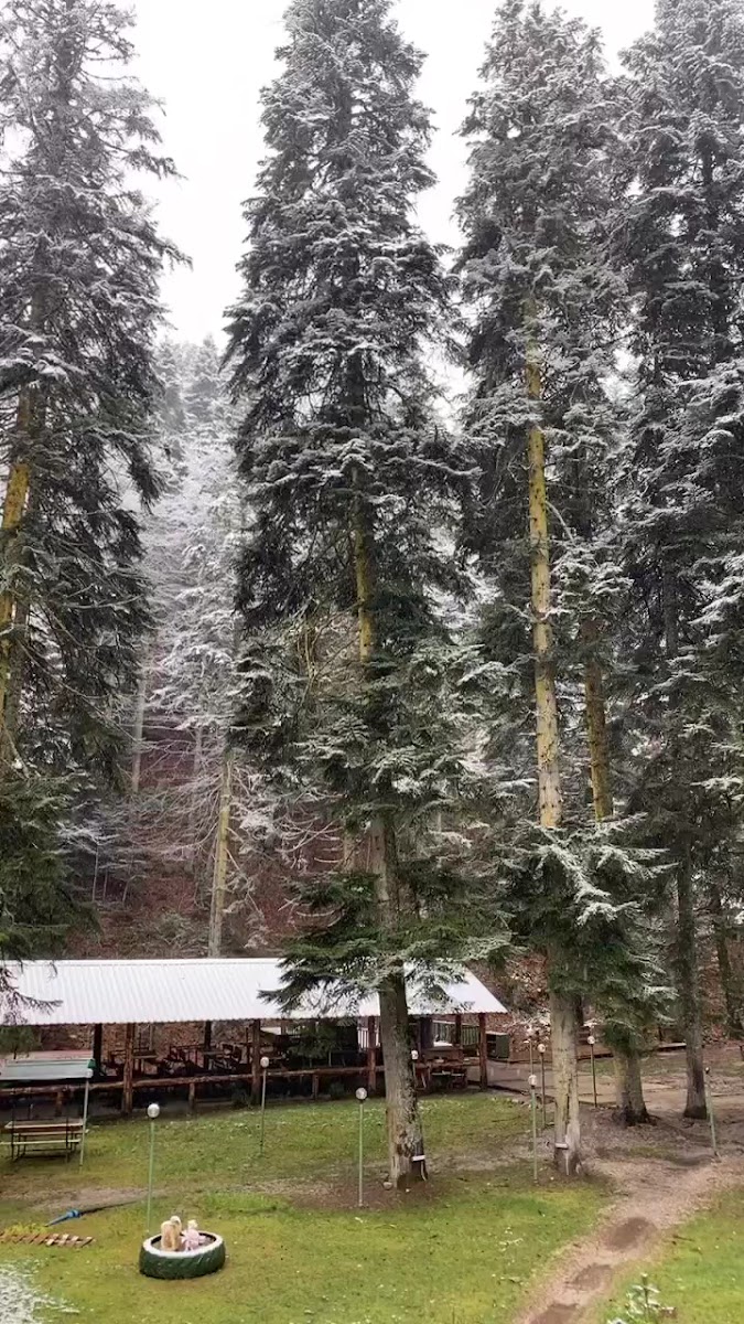 Abant Park Restaurant — fotoğraf 3