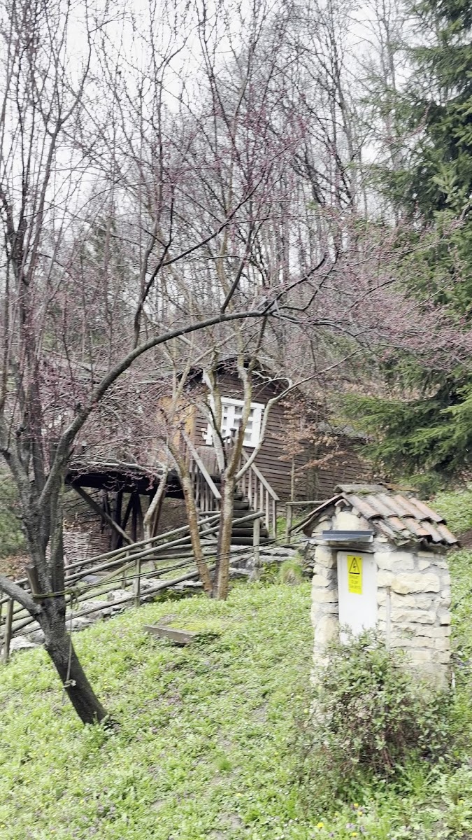 Abant Yeşil Ev — fotoğraf 2