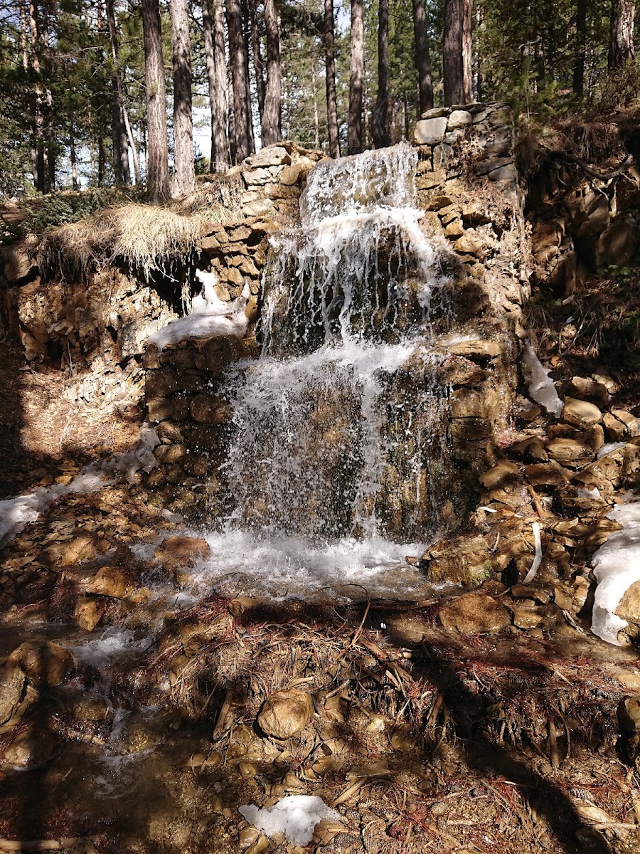 Abdullah Yaylası Tabiat Parkı — fotoğraf 1