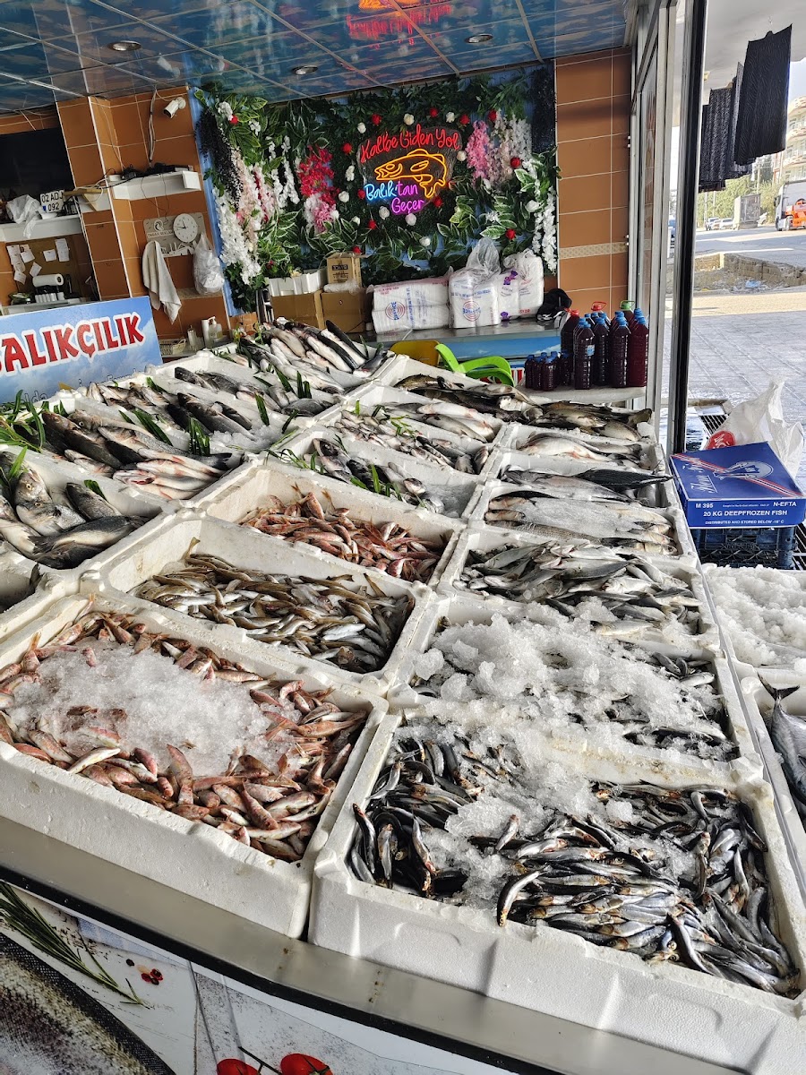 Adıyaman Karadeniz Balıkçılık — fotoğraf 4