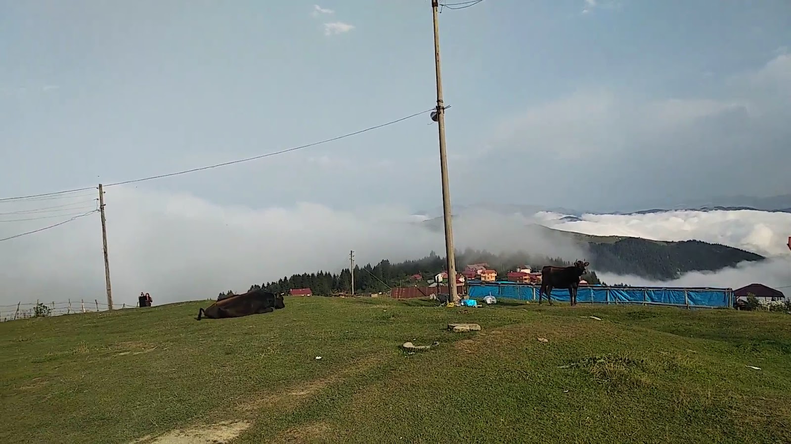 Ağaçbaşı Yaylası — fotoğraf 3