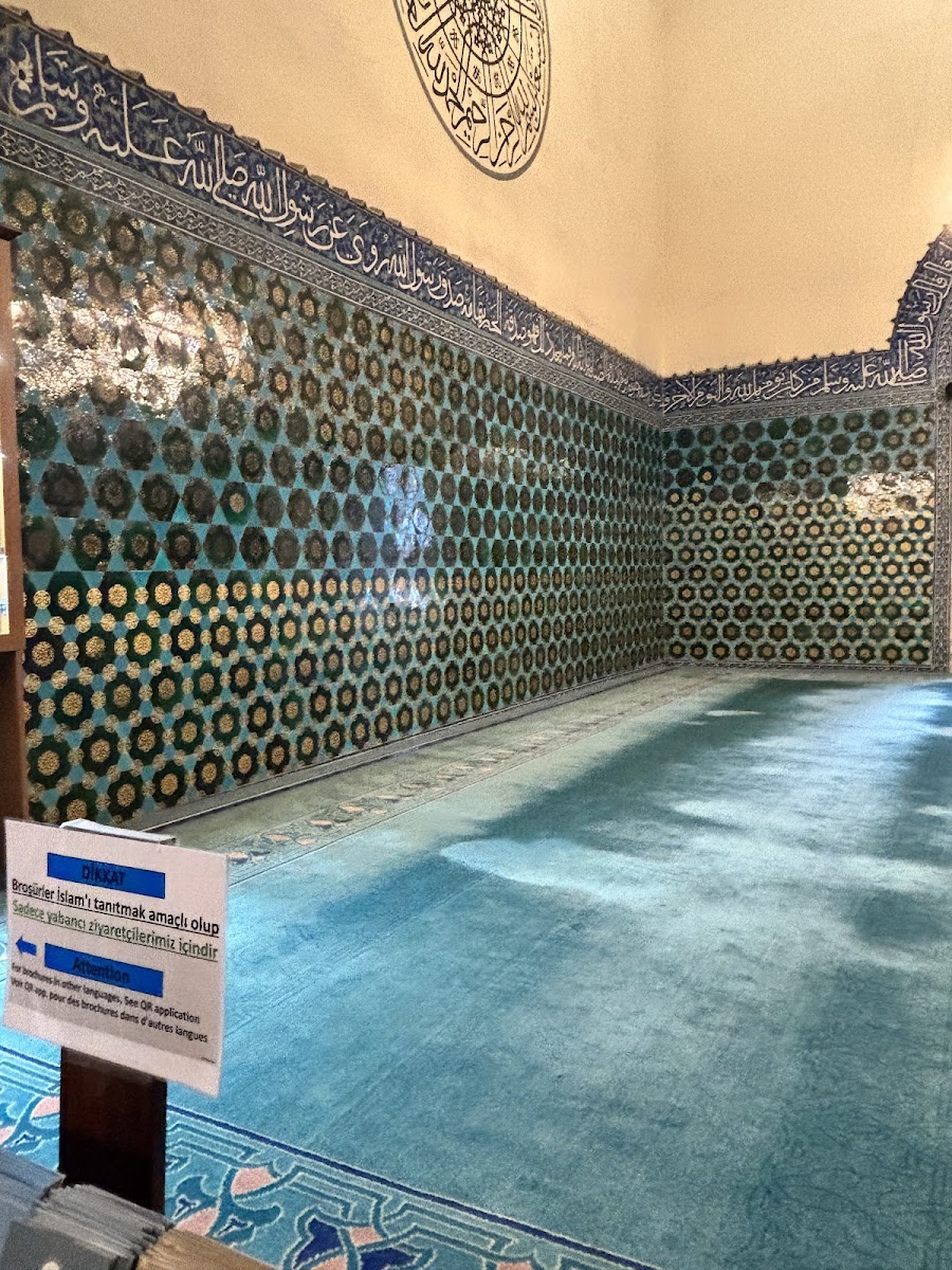 Ağlayan Çınar — fotoğraf 2