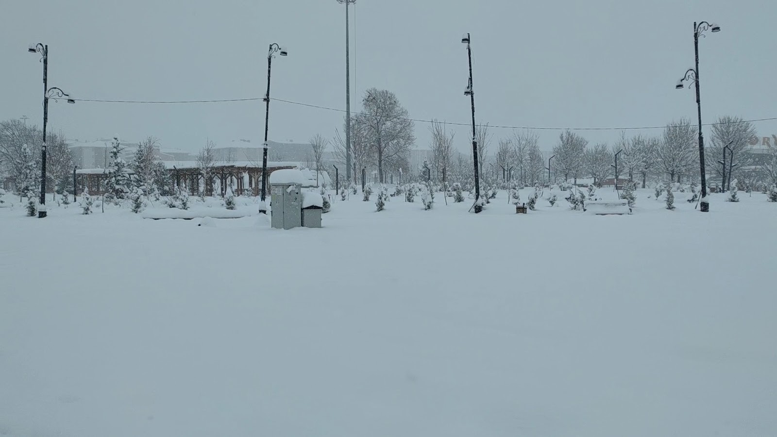 Ağrı Millet Bahçesi — fotoğraf 3