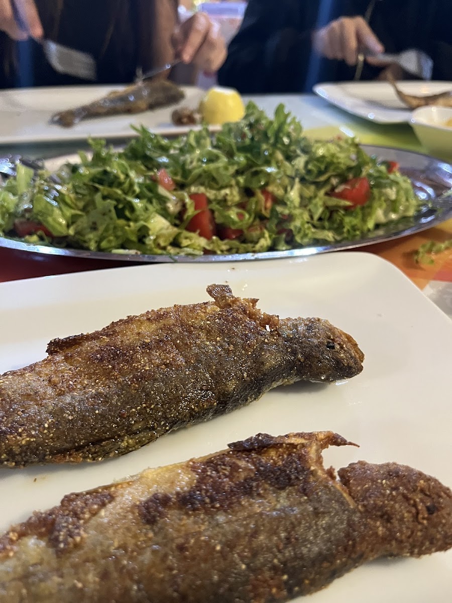 AKARSU CANLI ALABALIK ET MANGAL — fotoğraf 2