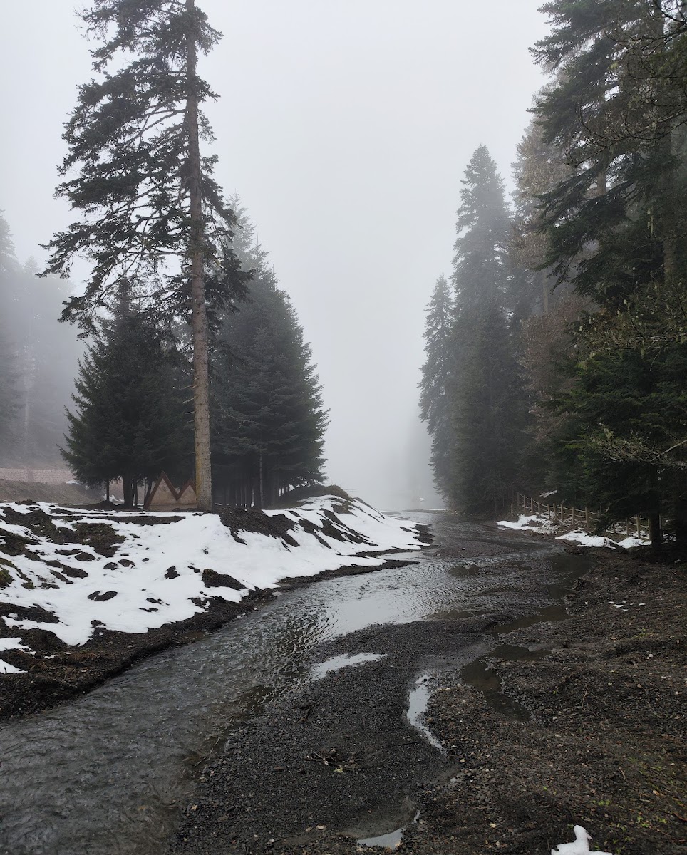 Akgöl — fotoğraf 2