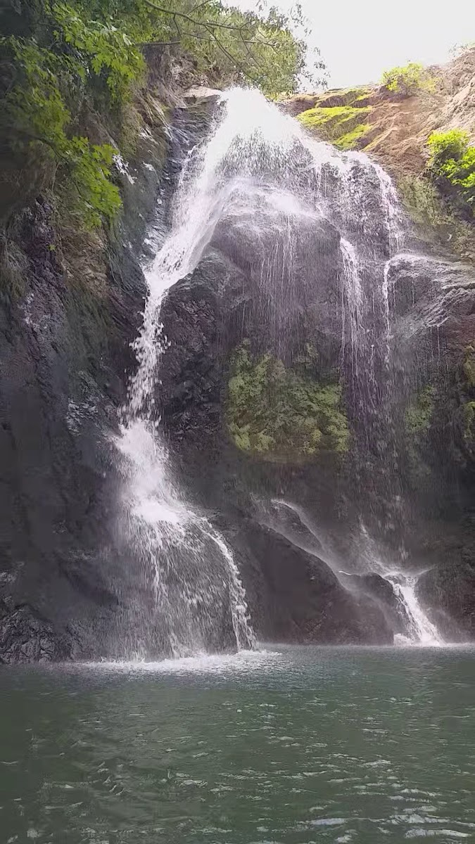Aksa Hatıra Ormanı — fotoğraf 3