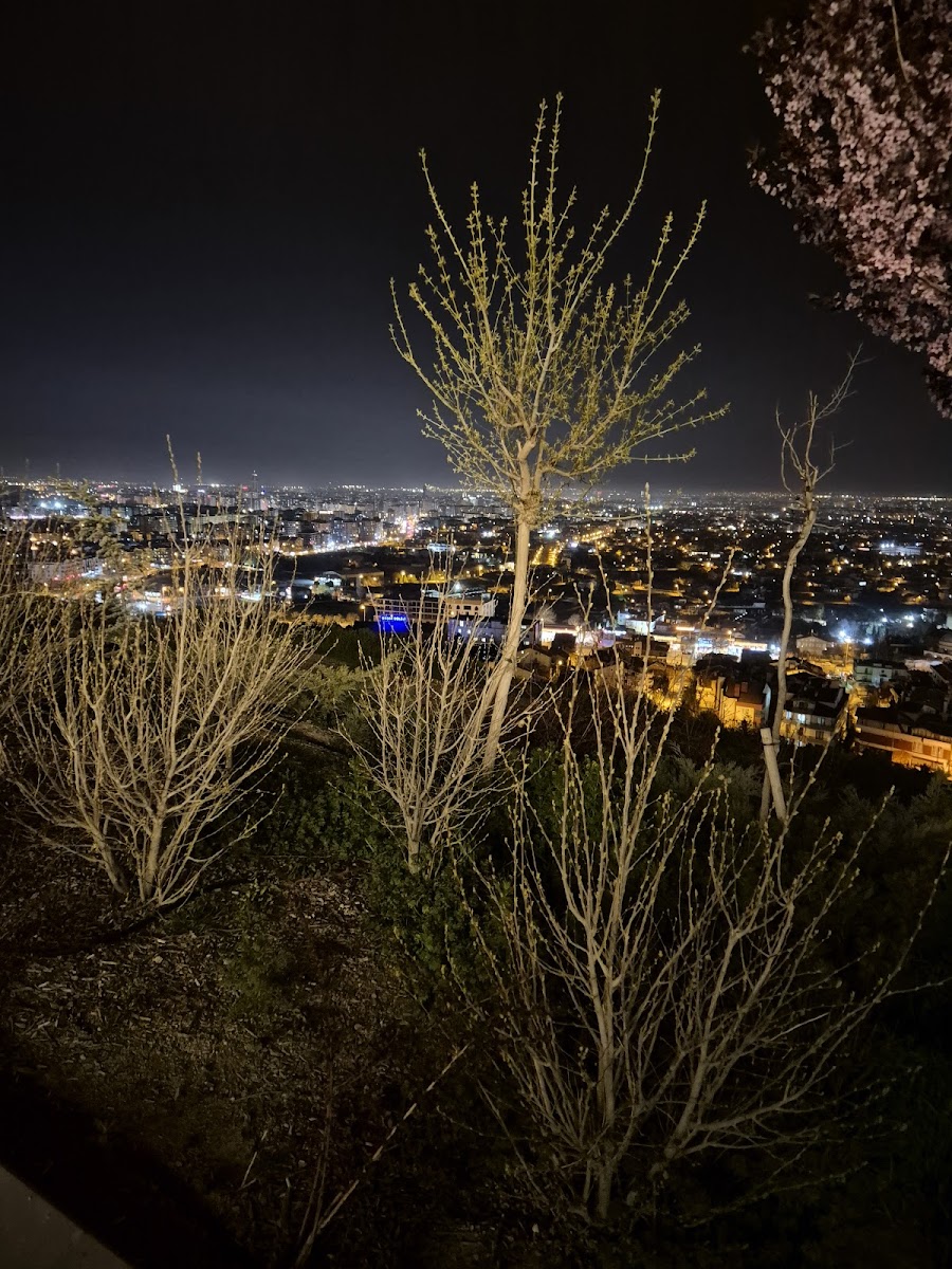 Akyokuş Kasrı — fotoğraf 2