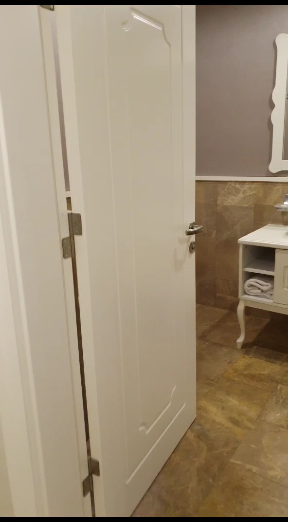 AL-Sİ Ametis Termal Otel & SPA — fotoğraf 3