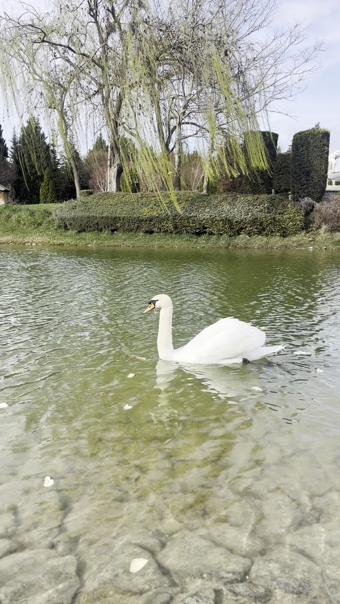 Alaaddin Tepesi Parkı — fotoğraf 2