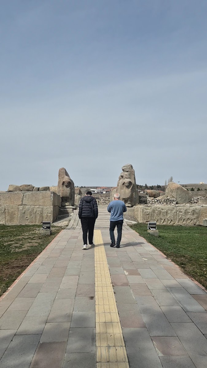 Alacahöyük Müzesi — fotoğraf 2