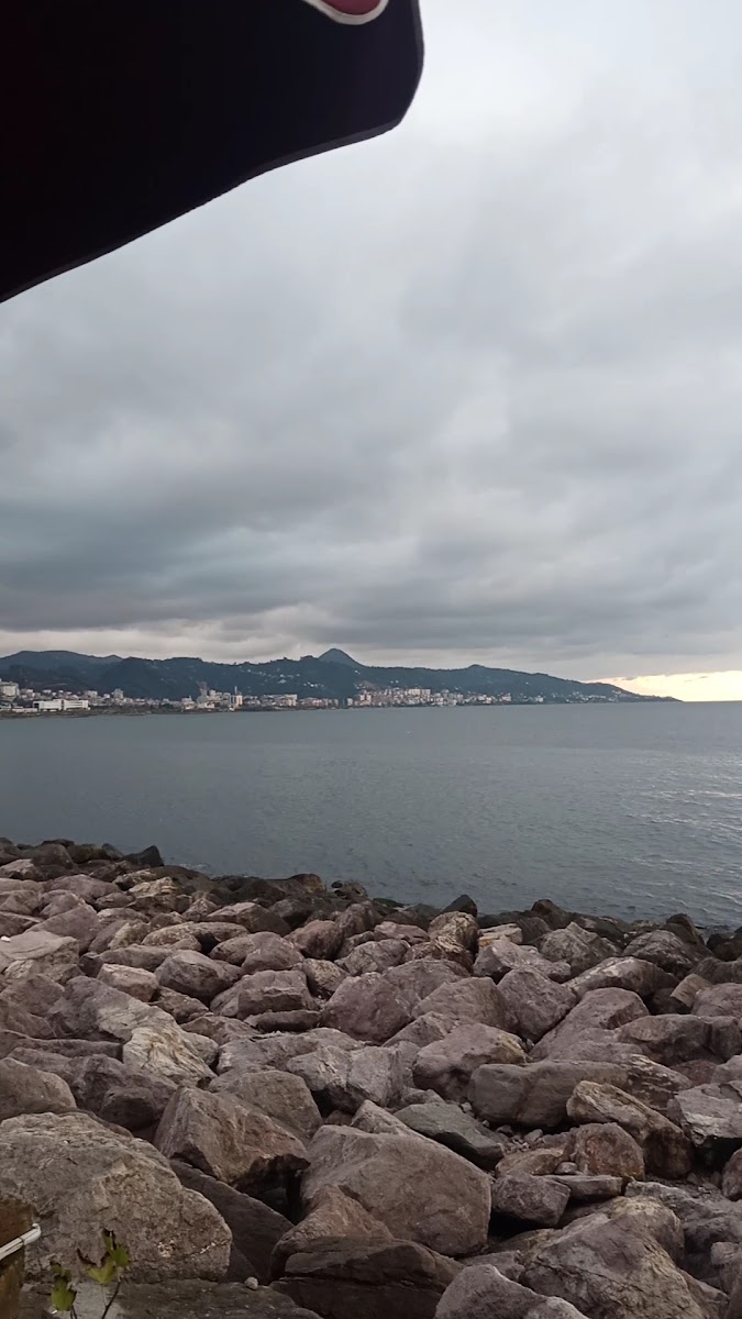 Alesta Cafe — fotoğraf 3