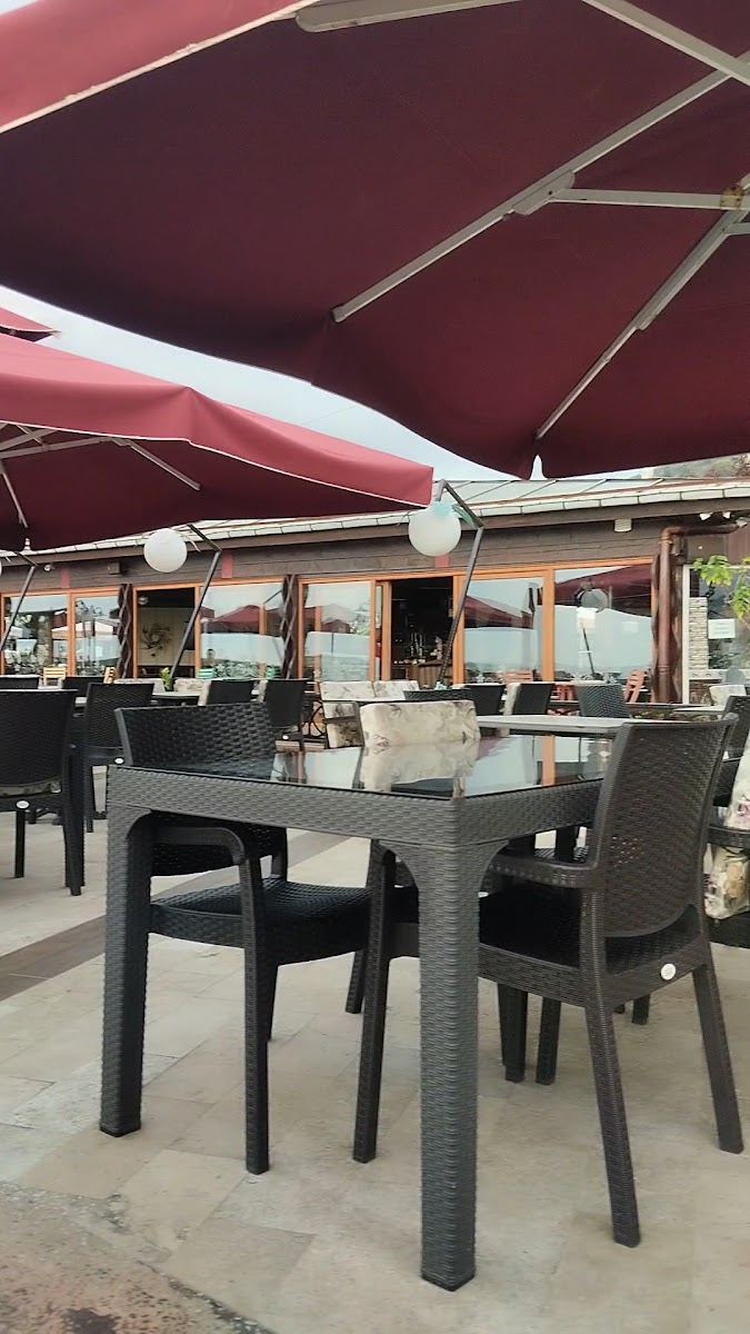 Alesta Cafe — fotoğraf 5