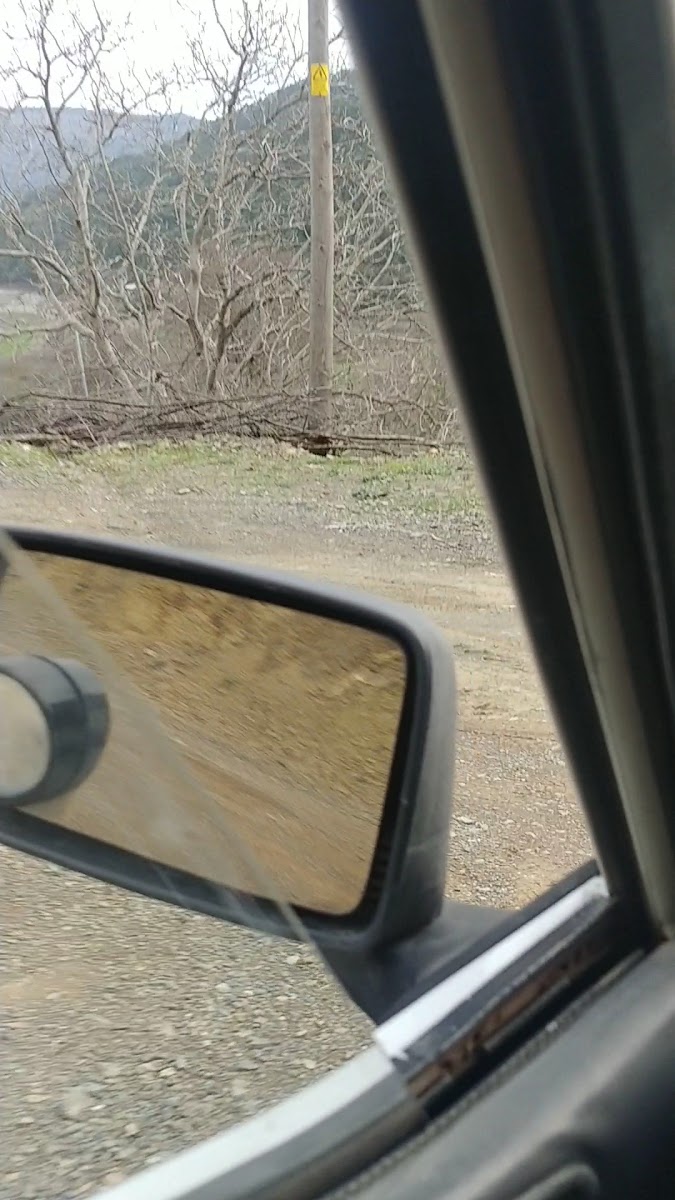 Alpaslan Müzesi — fotoğraf 2