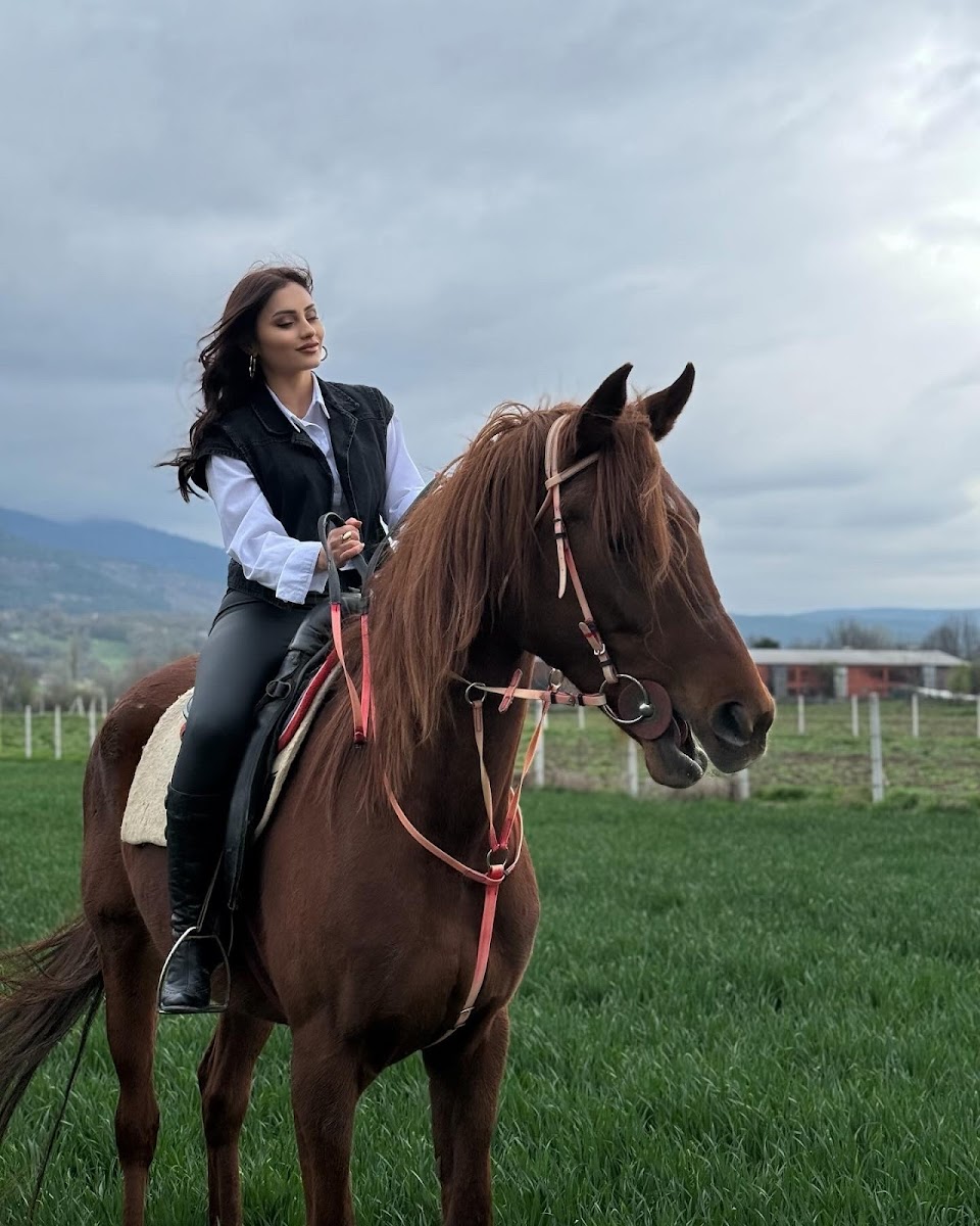 Alpbey At Çiftliği — fotoğraf 4