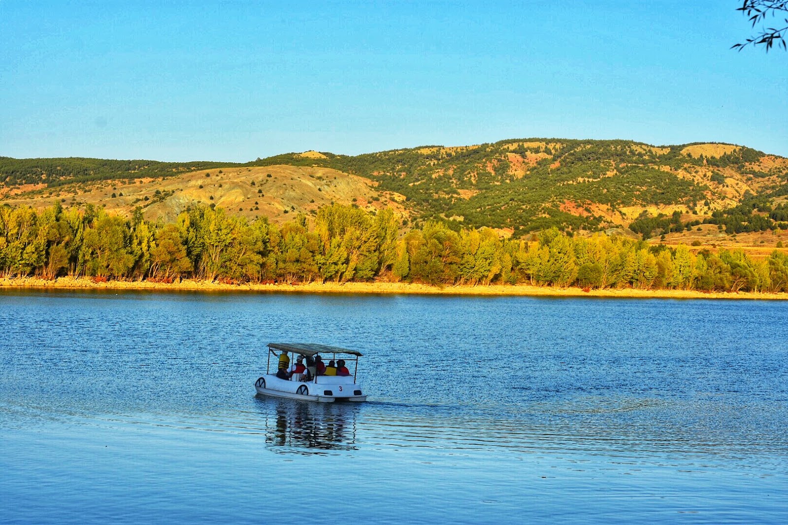 Alpsarı Göleti — fotoğraf 2