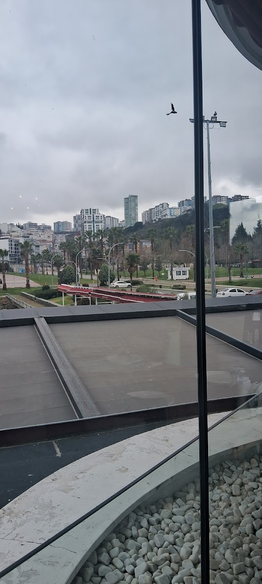 Amazon Köyü — fotoğraf 2