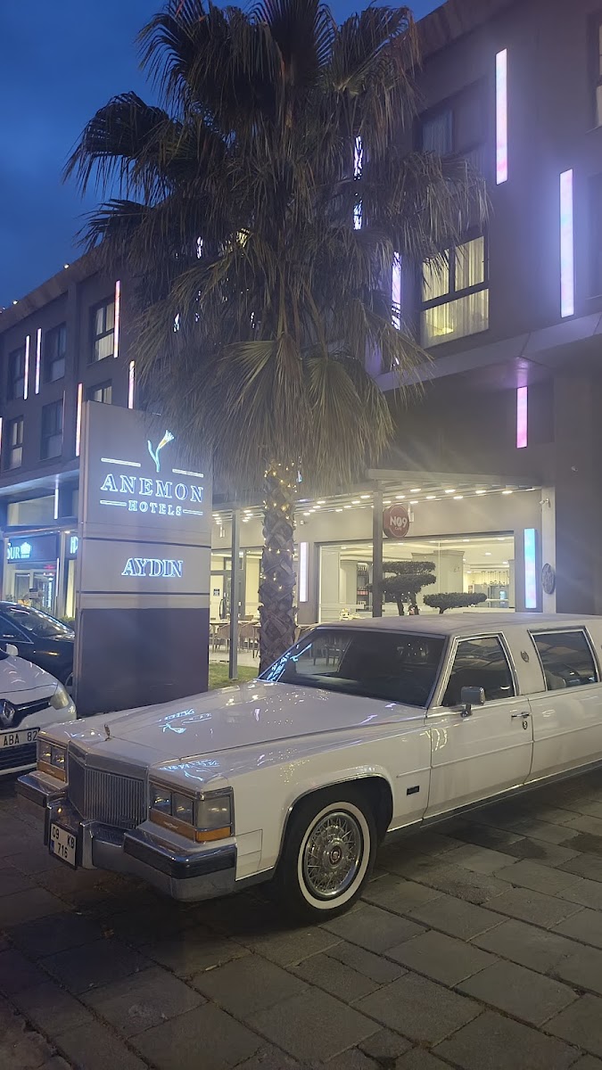 Anemon Aydın Otel — fotoğraf 2