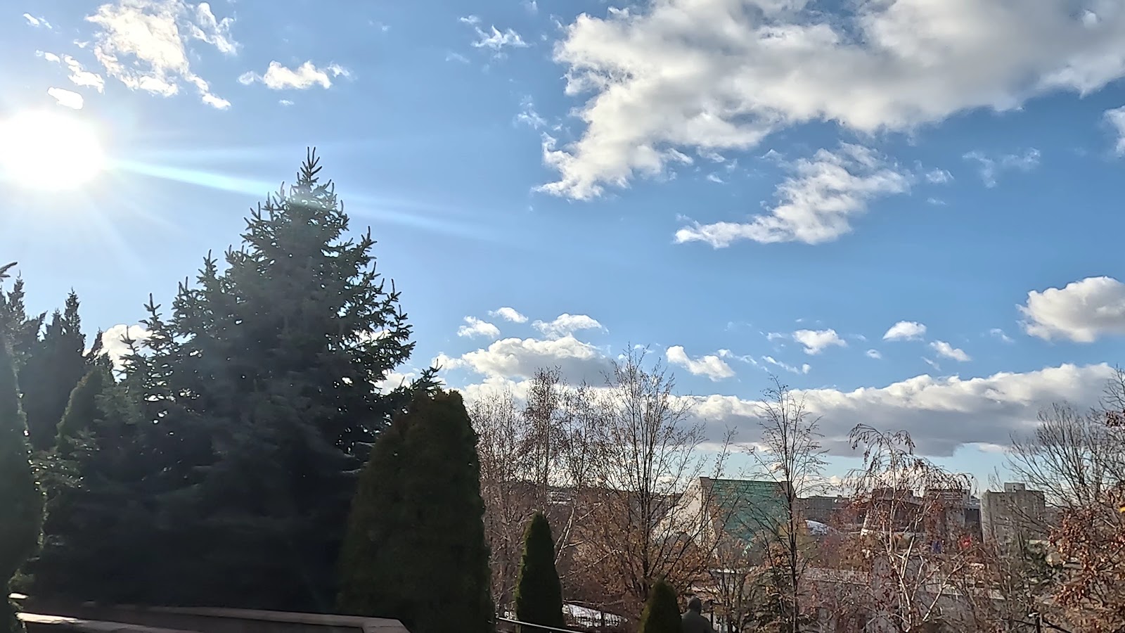 Ankara Resim ve Heykel Müzesi — fotoğraf 3