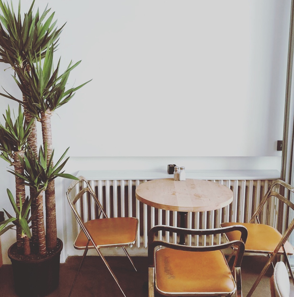 aralık — fotoğraf 1