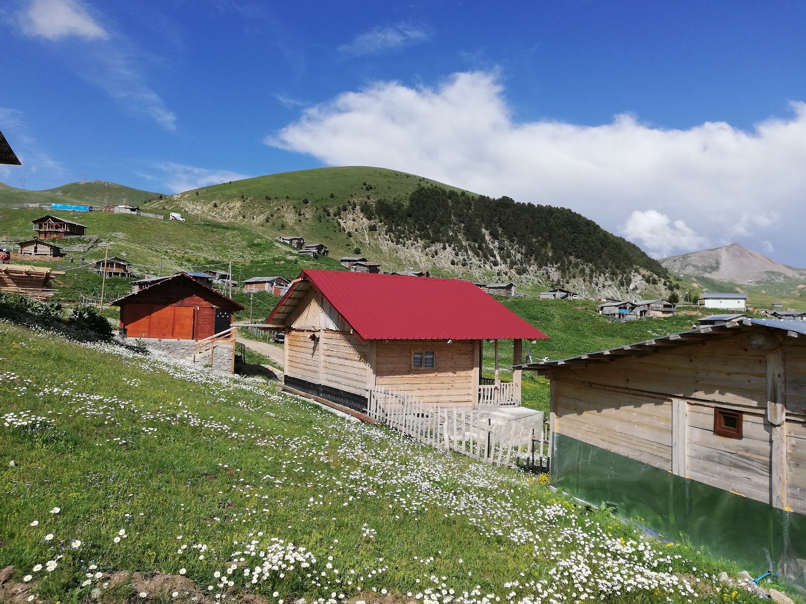 Artvin: Arsiyan, Sahara, Papart ve Balık Gölü