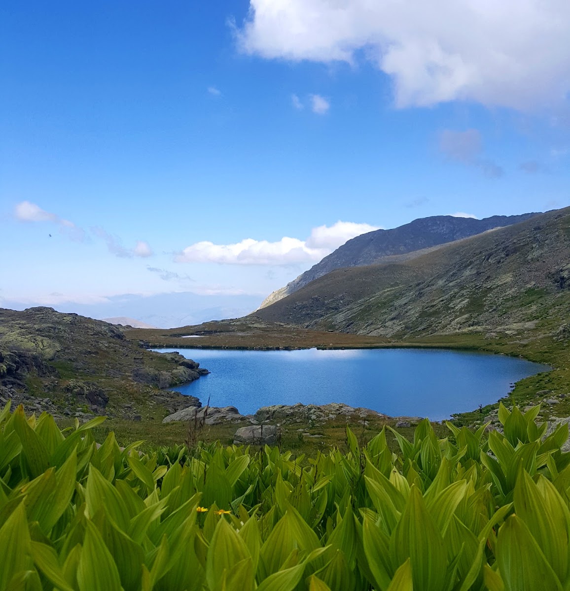 Artabel Gölleri Tabiat Parkı — fotoğraf 1