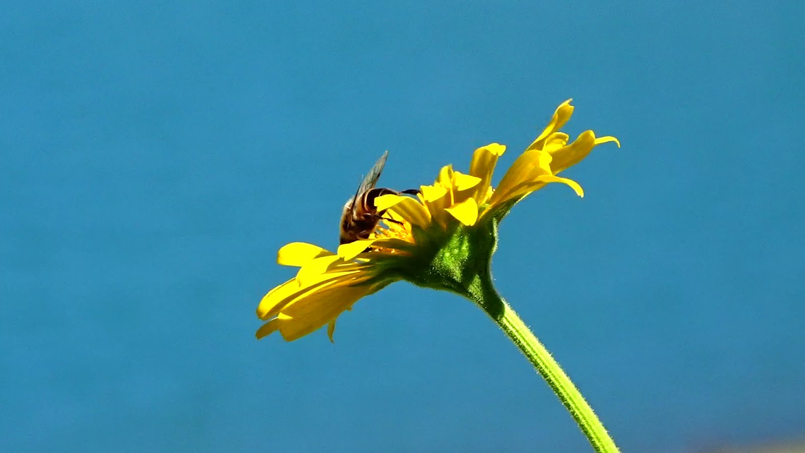 Artabel Gölleri Tabiat Parkı — fotoğraf 2