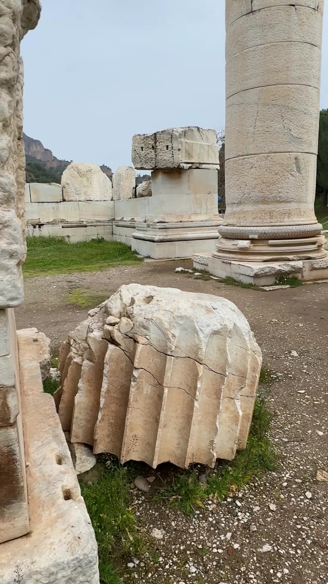 Artemis Tapınağı — fotoğraf 2