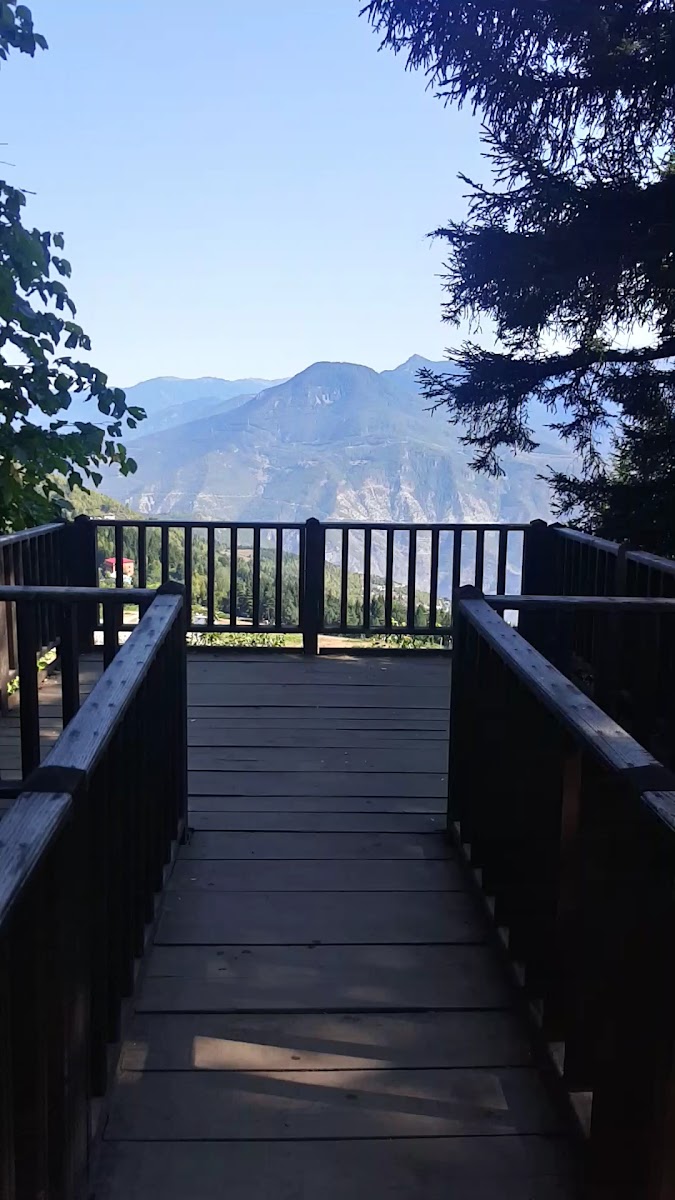 Artvin Kent Ormanı — fotoğraf 5