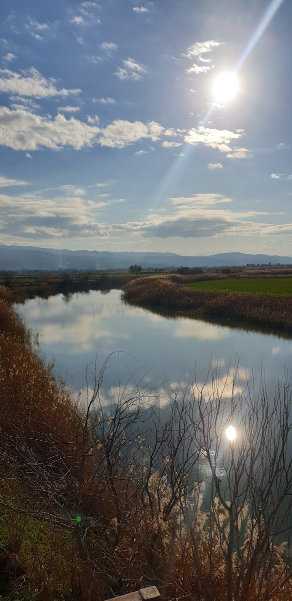 Aşağı Dip Gölü Doğa Parkı - Lac à Aydın — fotoğraf 2