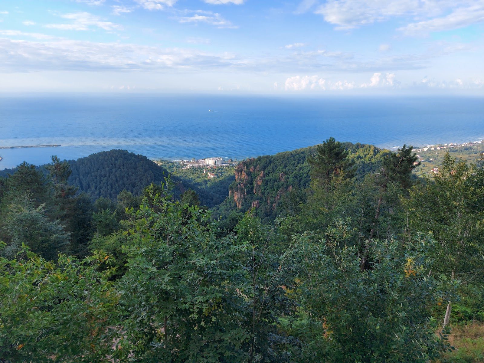 Asarkaya Kent Ormanı — fotoğraf 4