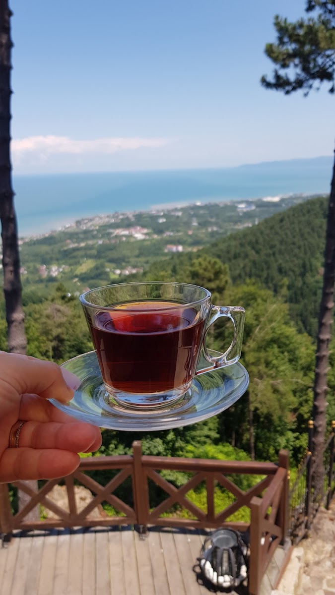 Asarkaya Kent Ormanı — fotoğraf 5