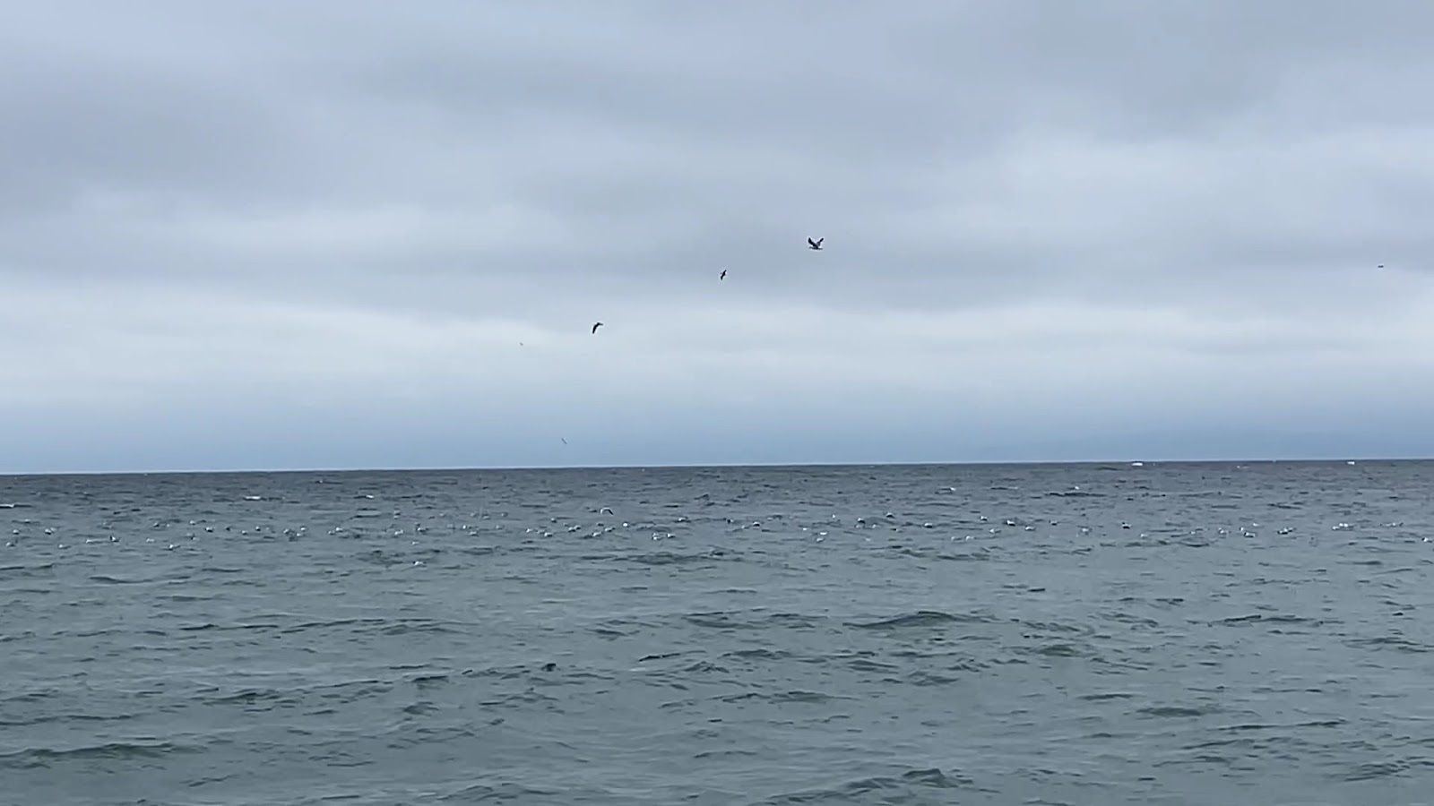 Aşıklar Parkı — fotoğraf 3