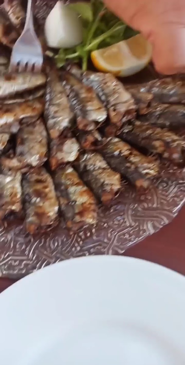 Asil balık gurme — fotoğraf 3