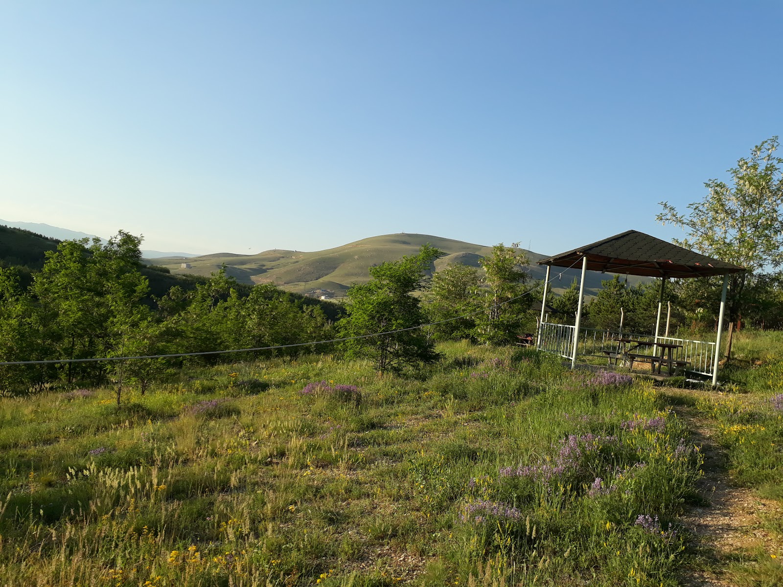 Aslandağ Vilayet Ormanı — fotoğraf 4