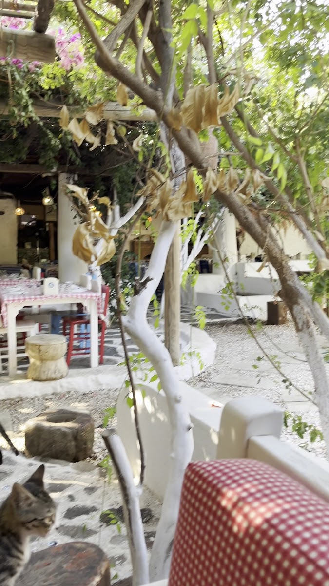 Asmalı Çardak Kahvaltı Evi — fotoğraf 3