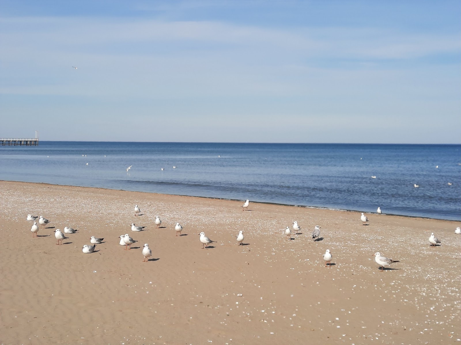 Atakum Plajı — fotoğraf 1