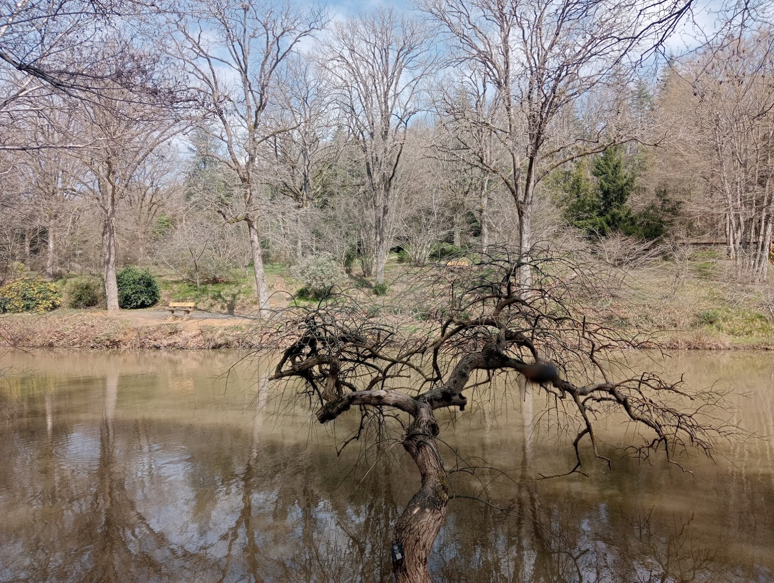 Atatürk Arboretumu — fotoğraf 2