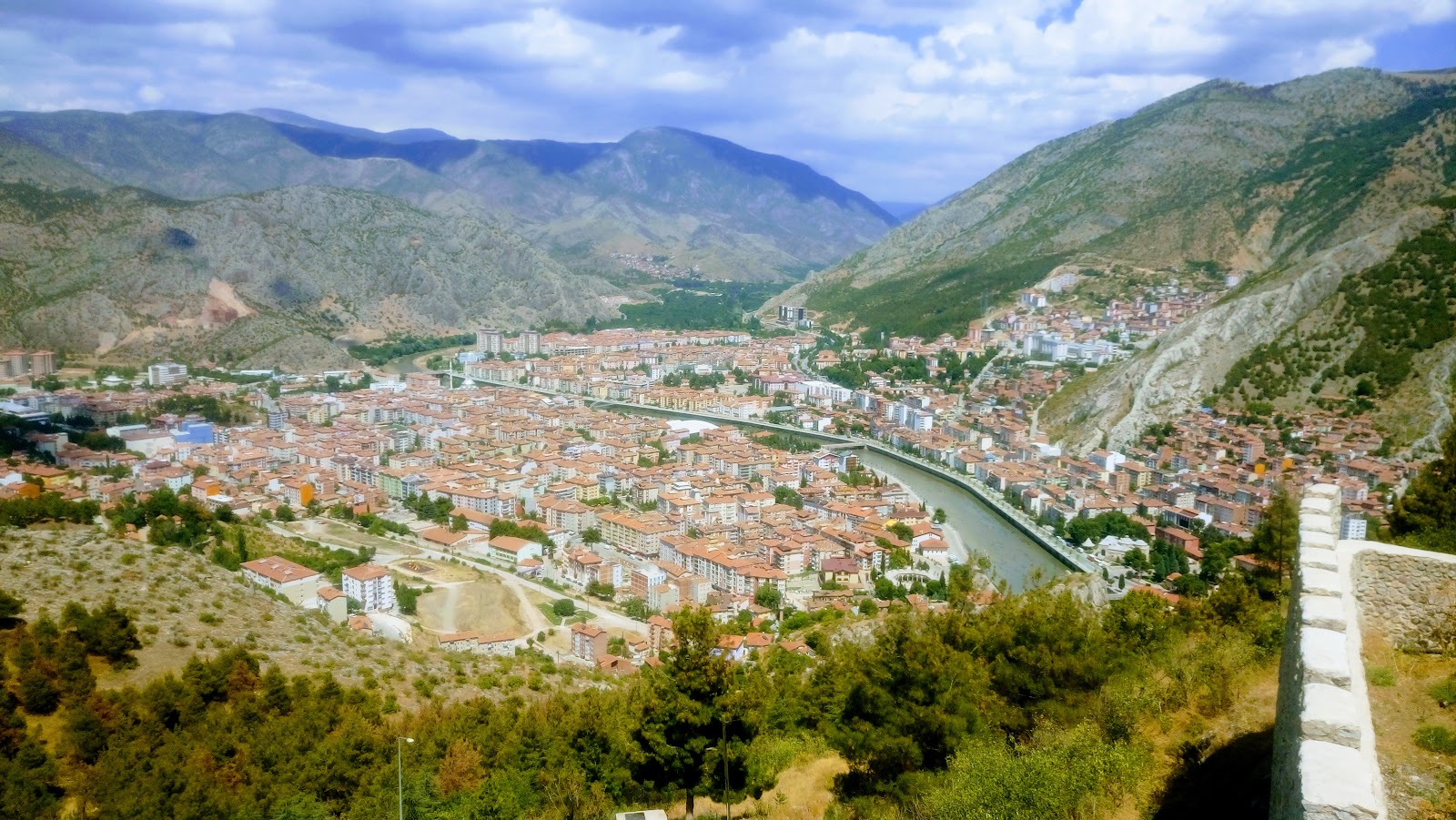 Atatürk Hatıra Ormanı — fotoğraf 2