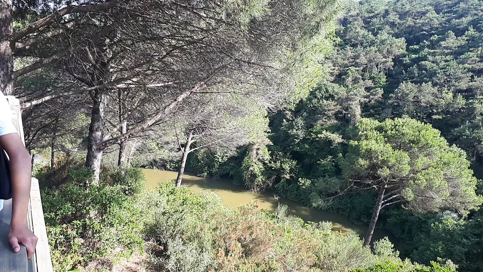 Atatürk Kent Ormanı — fotoğraf 3