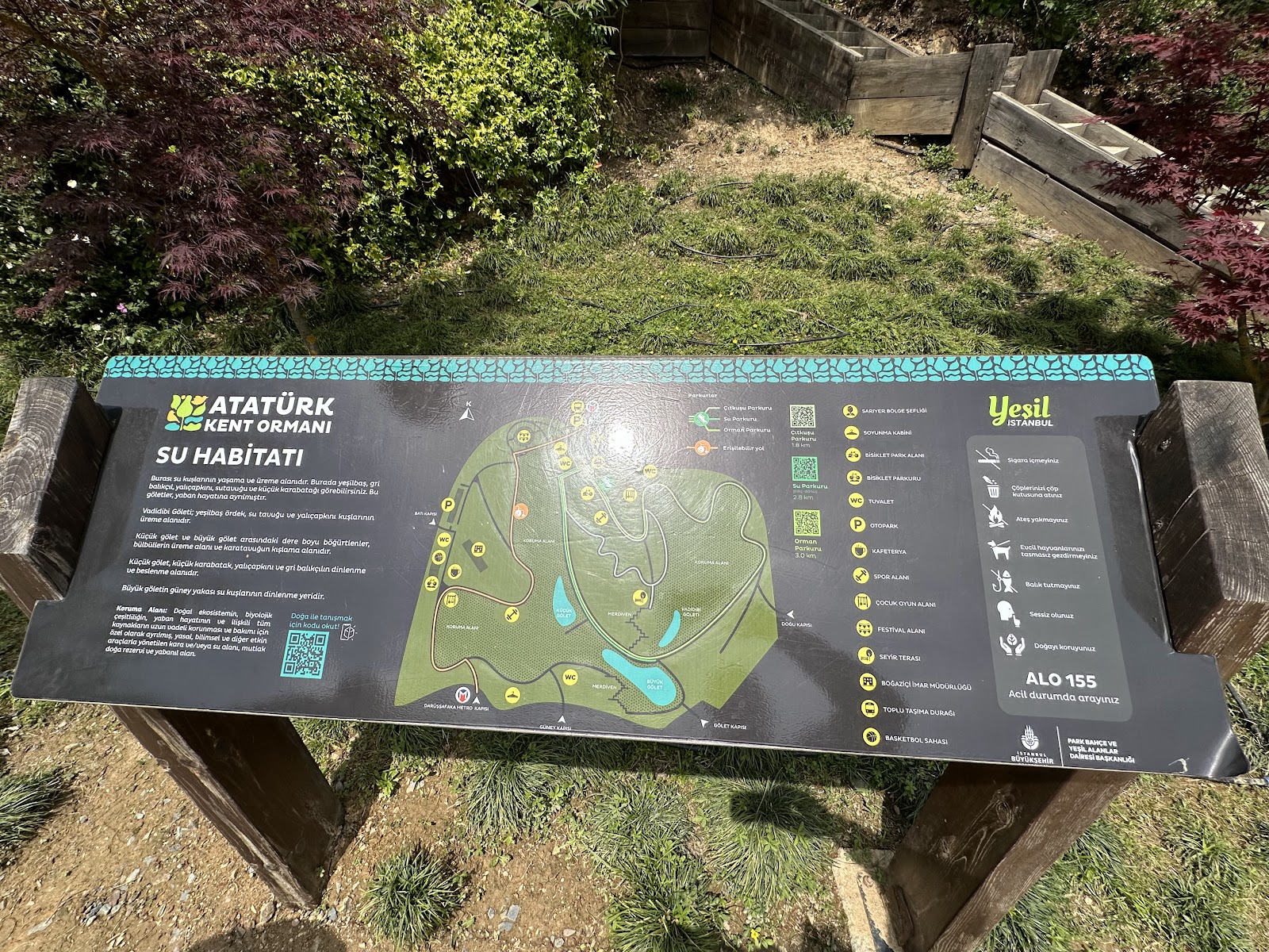 Atatürk Kent Ormanı — fotoğraf 4