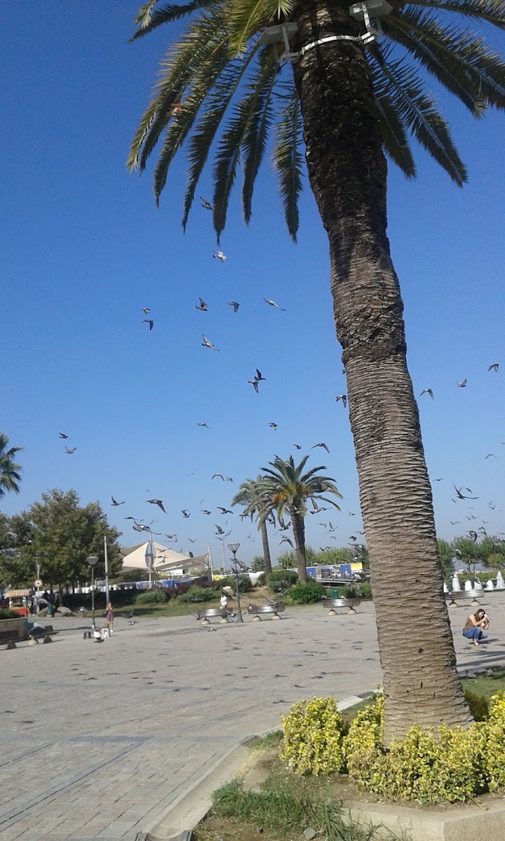 Atatürk Konak Meydanı — fotoğraf 5