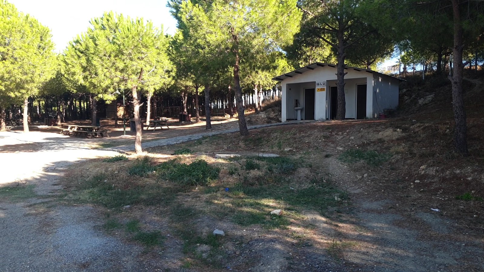 Atatürk Koruluğu — fotoğraf 3