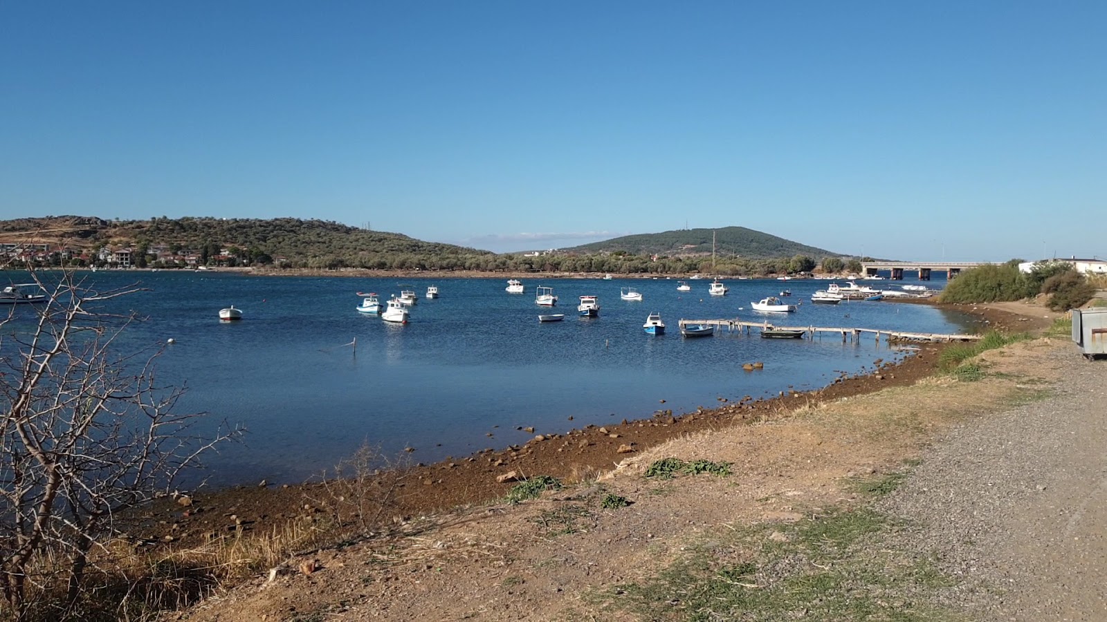 Atatürk Koruluğu — fotoğraf 4