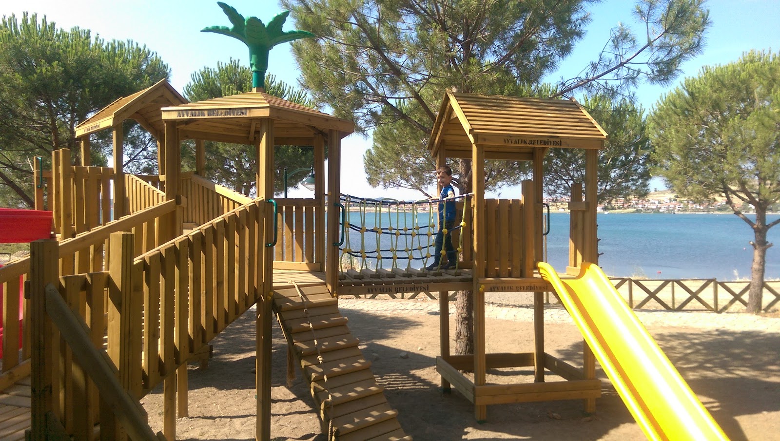 Atatürk Koruluğu — fotoğraf 5