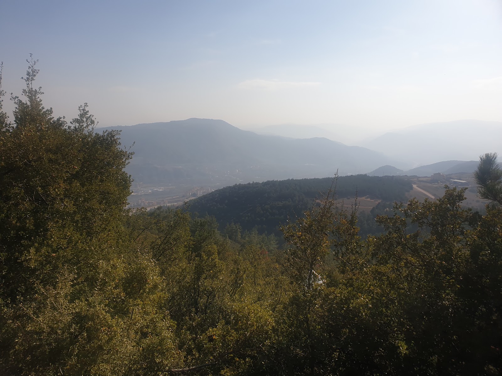 Atatürk Ormanı Piknik Alanı — fotoğraf 1